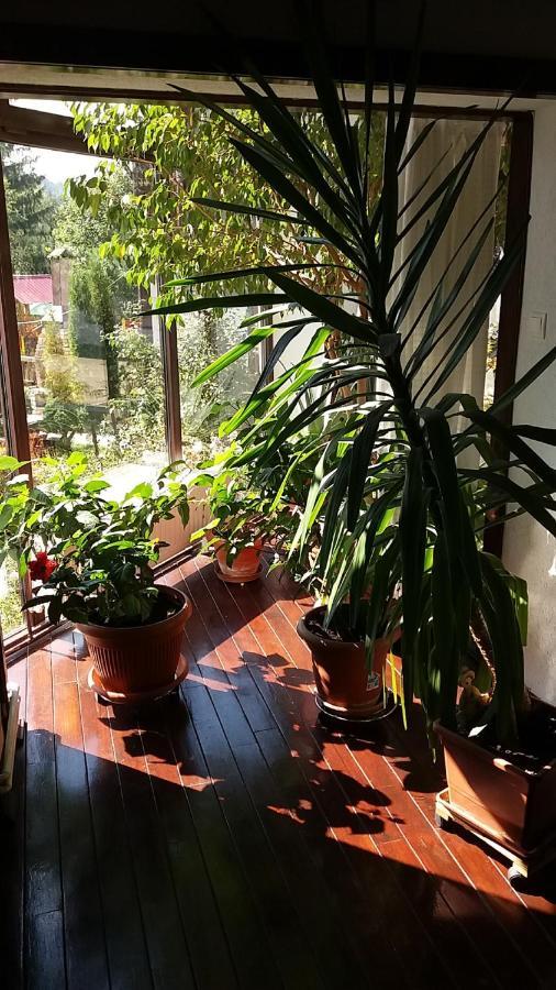 Vila Smaranda Predeal Exterior foto